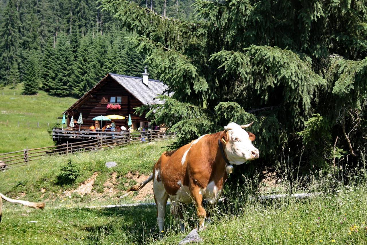 Chalet 164 Bad Goisern Εξωτερικό φωτογραφία
