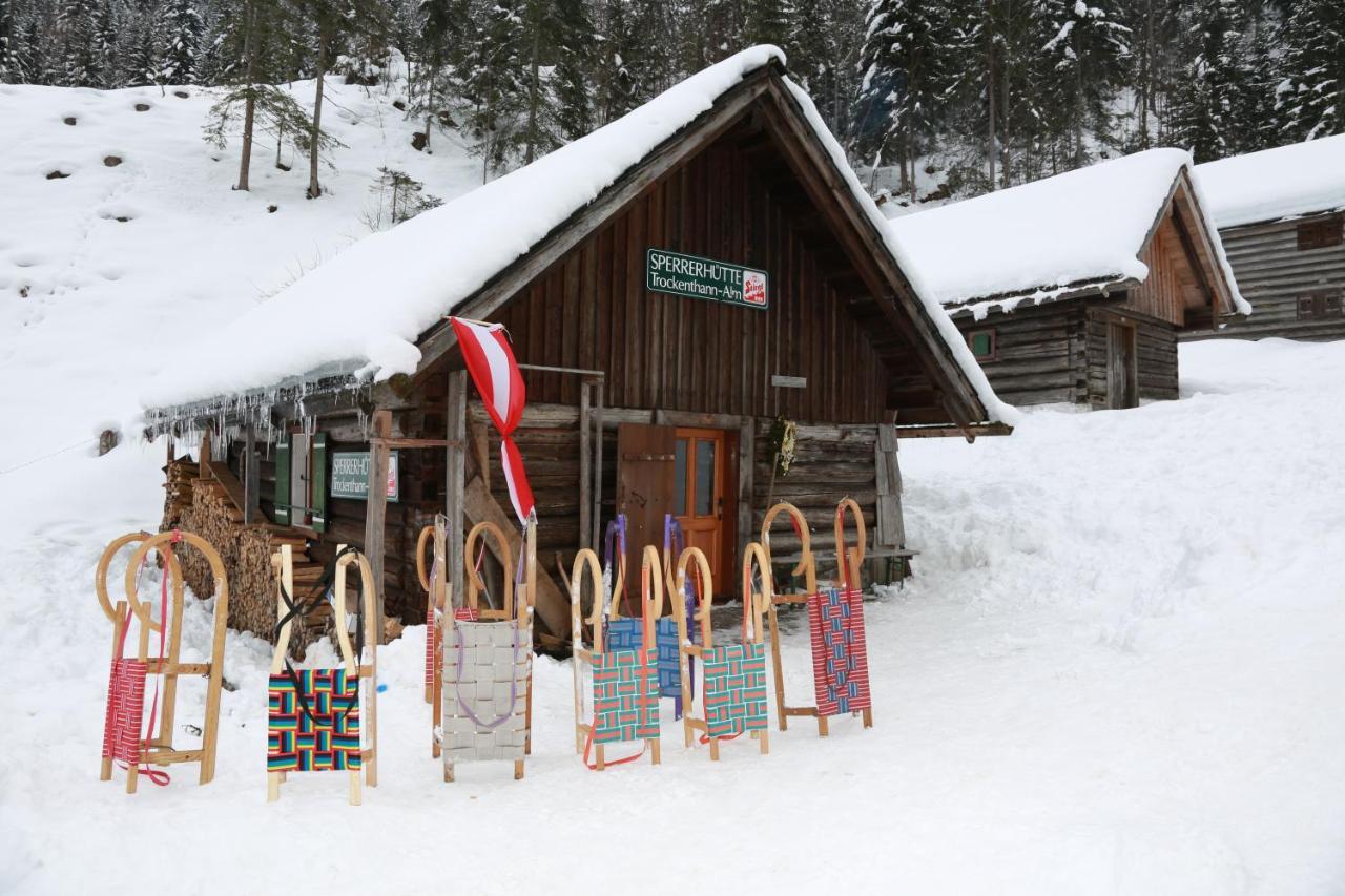 Chalet 164 Bad Goisern Εξωτερικό φωτογραφία