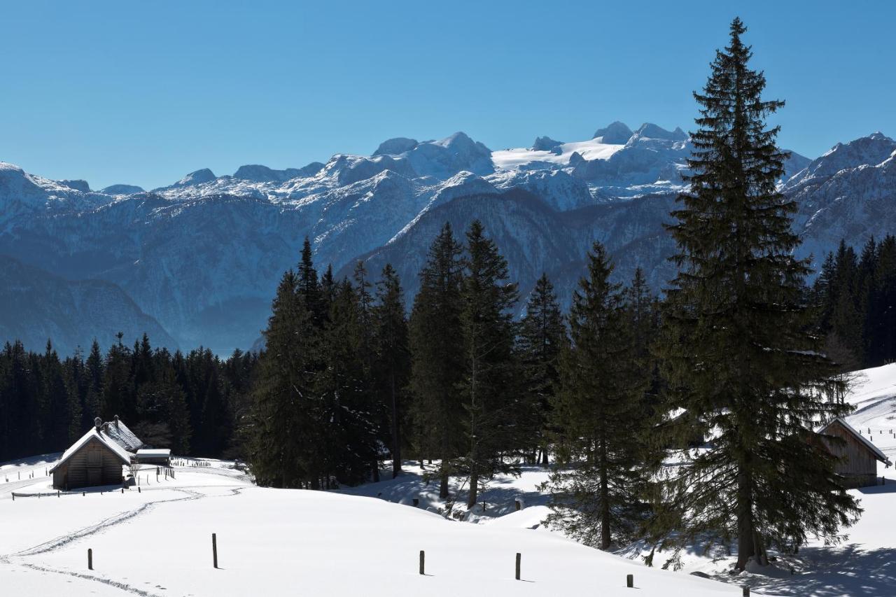 Chalet 164 Bad Goisern Εξωτερικό φωτογραφία